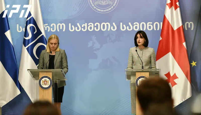 bochorishvili valtoneni1 новости Мака Бочоришвили, МИД Грузии, оккупированные регионы Грузии, Элина Валтонен