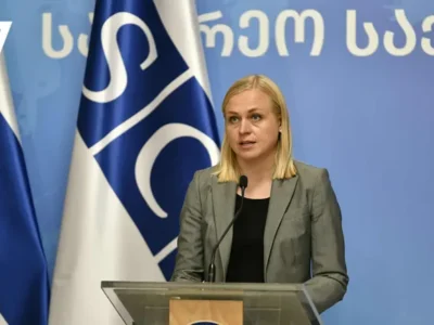 elina valtoneni новости Грузия-ОБСЕ, МИД Грузии, Элина Валтонен