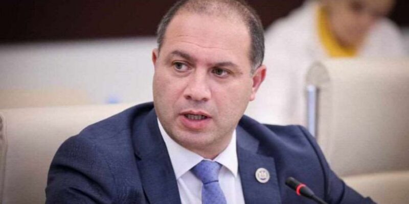 givi mikanadze новости Гиви Миканадзе, иностранные студенты, министерство образования Грузии