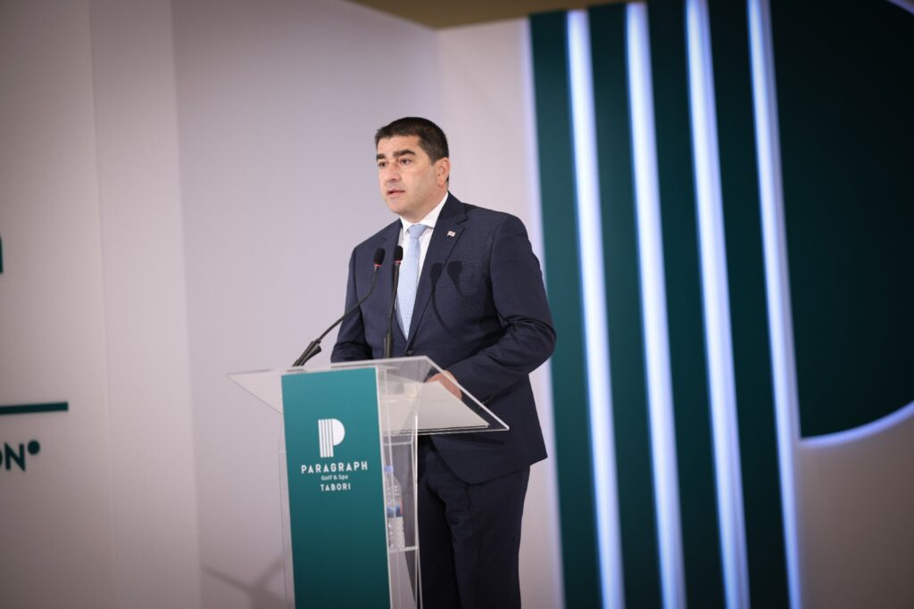 papuashvili новости Грузинская мечта, Грузия-ЕС, Спикер парламента, Шалва Папуашвили