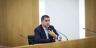 papuashvili 88 новости Грузинская мечта, ираклий кирцхалия, иск, коллективное "Нацдвижение", судебный иск, Шалва Папуашвили