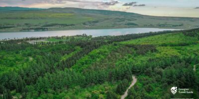 tbilisis dendrologiuri parki tbilisi dendrological park новости дендропарк, Каха Каладзе, Тбилисский дендрологический парк, Тбилисский дендропарк