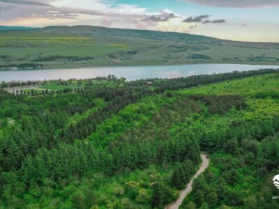 tbilisis dendrologiuri parki tbilisi dendrological park новости дендропарк, Каха Каладзе, Тбилисский дендрологический парк, Тбилисский дендропарк