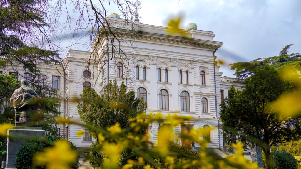 tsu политика featured, высшее образование, Грузинская мечта, Ираклий Кобахидзе