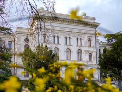 tsu SOVA-блог featured, высшее образование, Грузинская мечта, Ираклий Кобахидзе