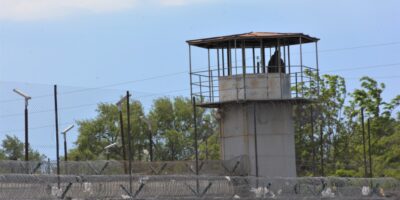 turma политика Джуаншер Бурчуладзе, Леван Иоселиани, Леван Хабеишвили, Народный защитник Грузии, Омбудсмен Грузии