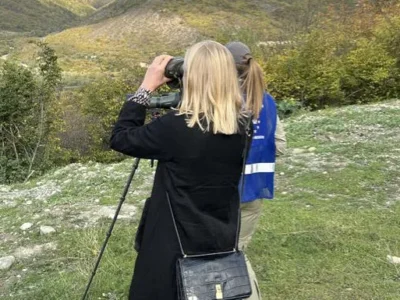 valtonen elina новости Грузия-ОБСЕ, разделительные линии, Элина Валтонен