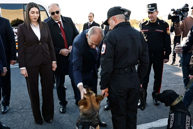 60240 b новости OC Media, Армения, Полицейская гвардия, реформа полиции