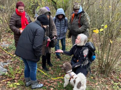 74827310 403.jpg Deutsche Welle Трюфель