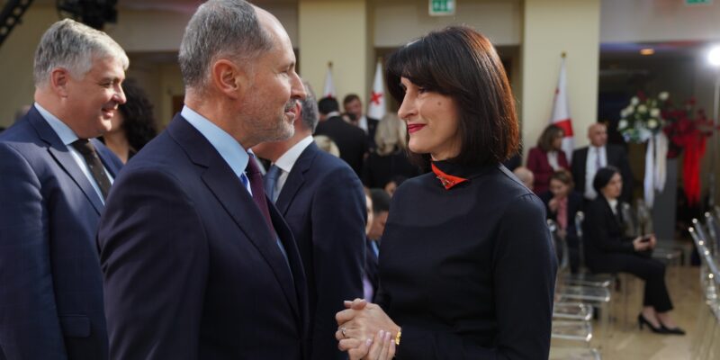 bochorishvili gerchinski e1762966722821 новости Глава МИД Грузии, Мака Бочоришвили, Петер Фишер