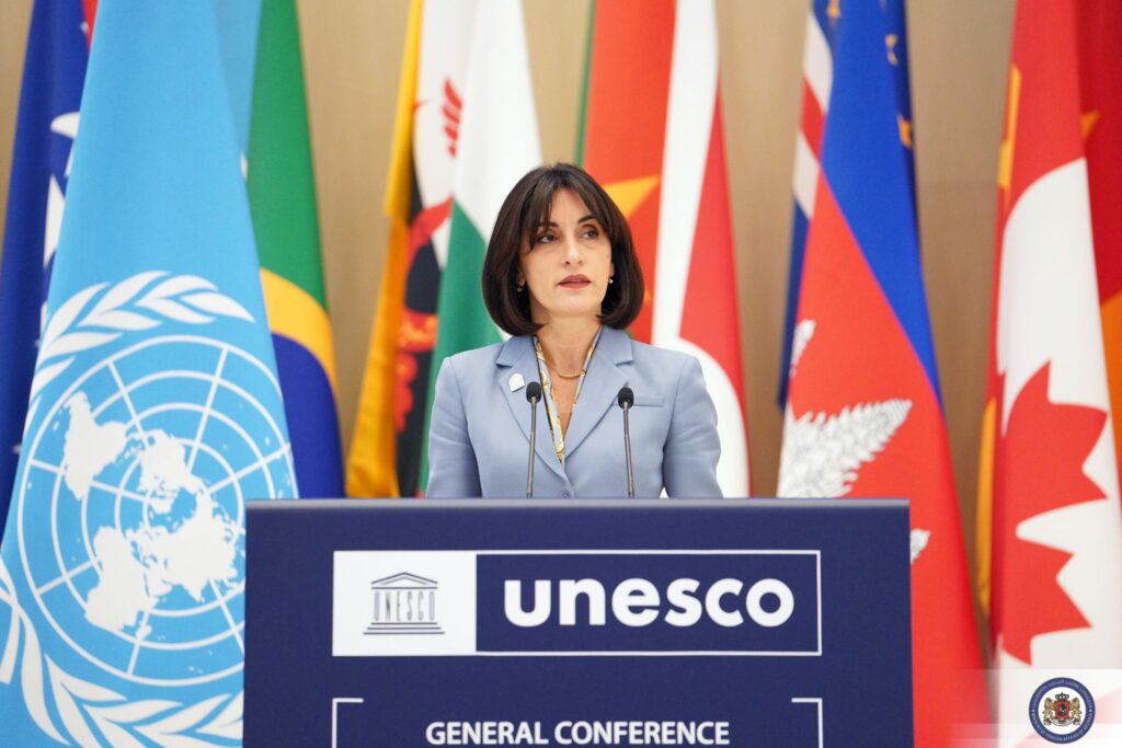 Глава МИД: маловероятно, чтобы Еврокомиссия дала объективную оценку Грузии в своем отчете 1 bochorishvili maka b новости Глава МИД Грузии, Грузия-Еврокомиссия, отчет Еврокомиссии по Грузии