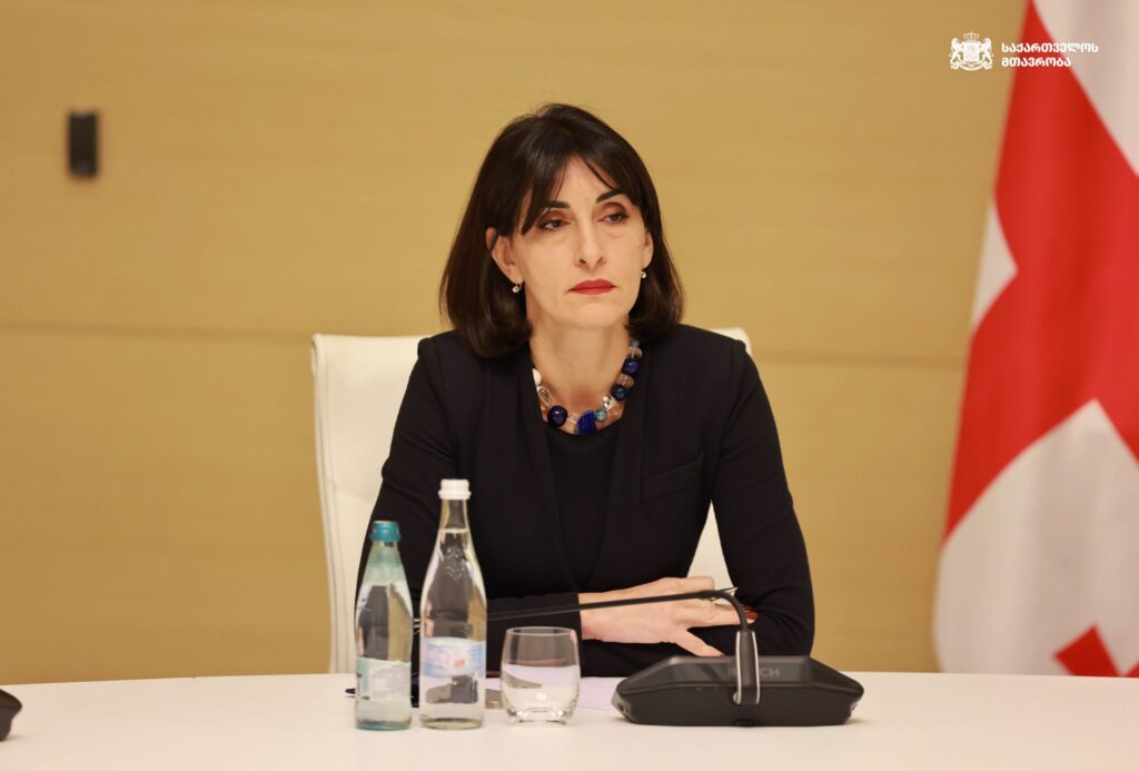bochorishvili mmmmmm новости Глава МИД Грузии, Грузия-Турция, крушение самолета
