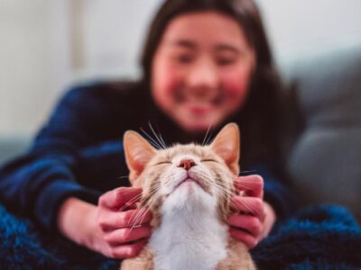 c8bb1440 ca0b 11f0 86af 23a21b51892f.jpg Новости BBC кошки