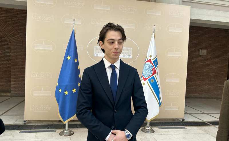 Самый молодой член городского совета Тбилиси официально заявил о своем уходе 1 dzadzamia новости Лука Дзадзамия, сакребуло