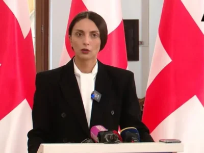 filfani vika pilpani новости «Гахария за Грузию», 28 ноября, Вика Пилпани, проевропейская акция в тбилиси