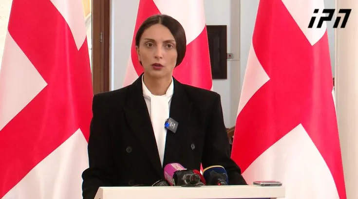 filfani vika pilpani новости «Гахария за Грузию», 28 ноября, Вика Пилпани, проевропейская акция в тбилиси