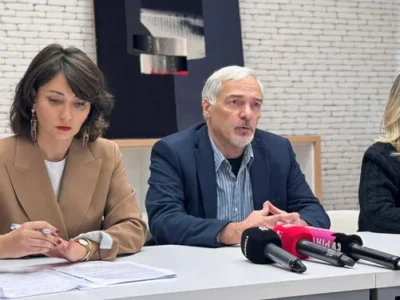 gigauri baramidze lomjaria e1762164694816 новости Анастасия Зиновкина, Антон Чечин, Артем Грибуль, Грузинская мечта, НПО Грузии