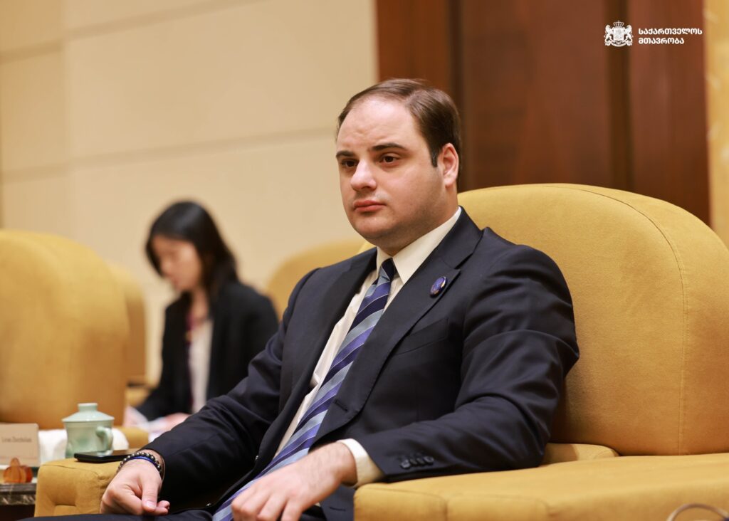 jorjoliani новости Агентство государственных грантов, грузинские НПО, закон о грантах, Леван Жоржолиани