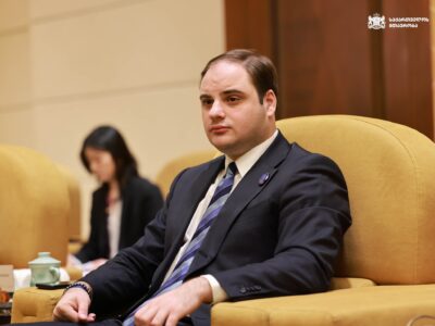 Администрация: на государственные гранты будет профинансировано 17 проектов НПО 2 jorjoliani новости Агентство государственных грантов, грузинские НПО, закон о грантах, Леван Жоржолиани