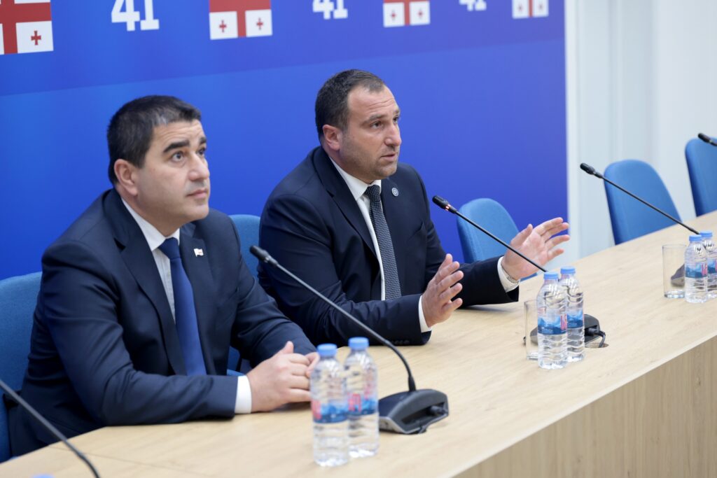 kircxalia новости бюджет грузии, Грузинская мечта, ираклий кирцхалия