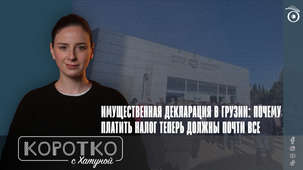 Имущественная декларация в Грузии: почему платить налог теперь должны почти все 1 konji shorts thumbnale youtube SOVA-блог featured, Грузинская мечта, налог на имущество, налоговая декларация