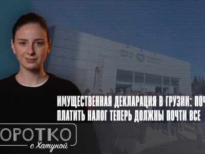 konji shorts thumbnale youtube SOVA-блог featured, Грузинская мечта, налог на имущество, налоговая декларация