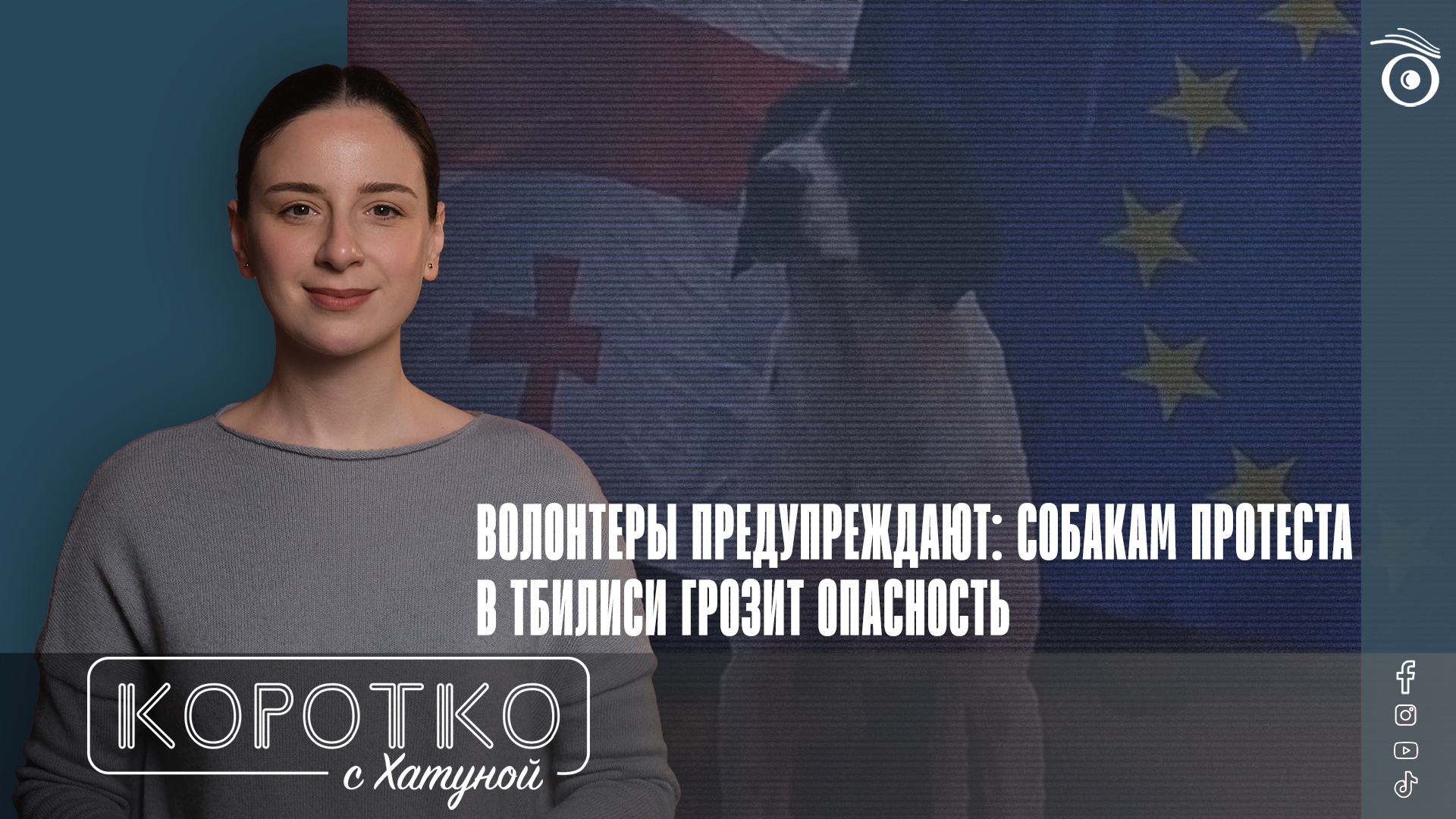 konji shorts thumbnale youtube 5 общество featured, бездомные собаки, Тамаз Элизбарашвили