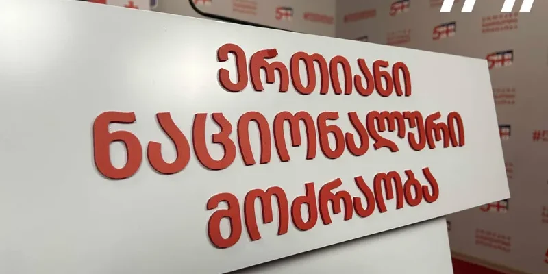 nacionaluri modzraoba dvijenie nacionalnoe новости акция протеста в тбилиси, Единое Национальное Движение, Михаил Саакашвили