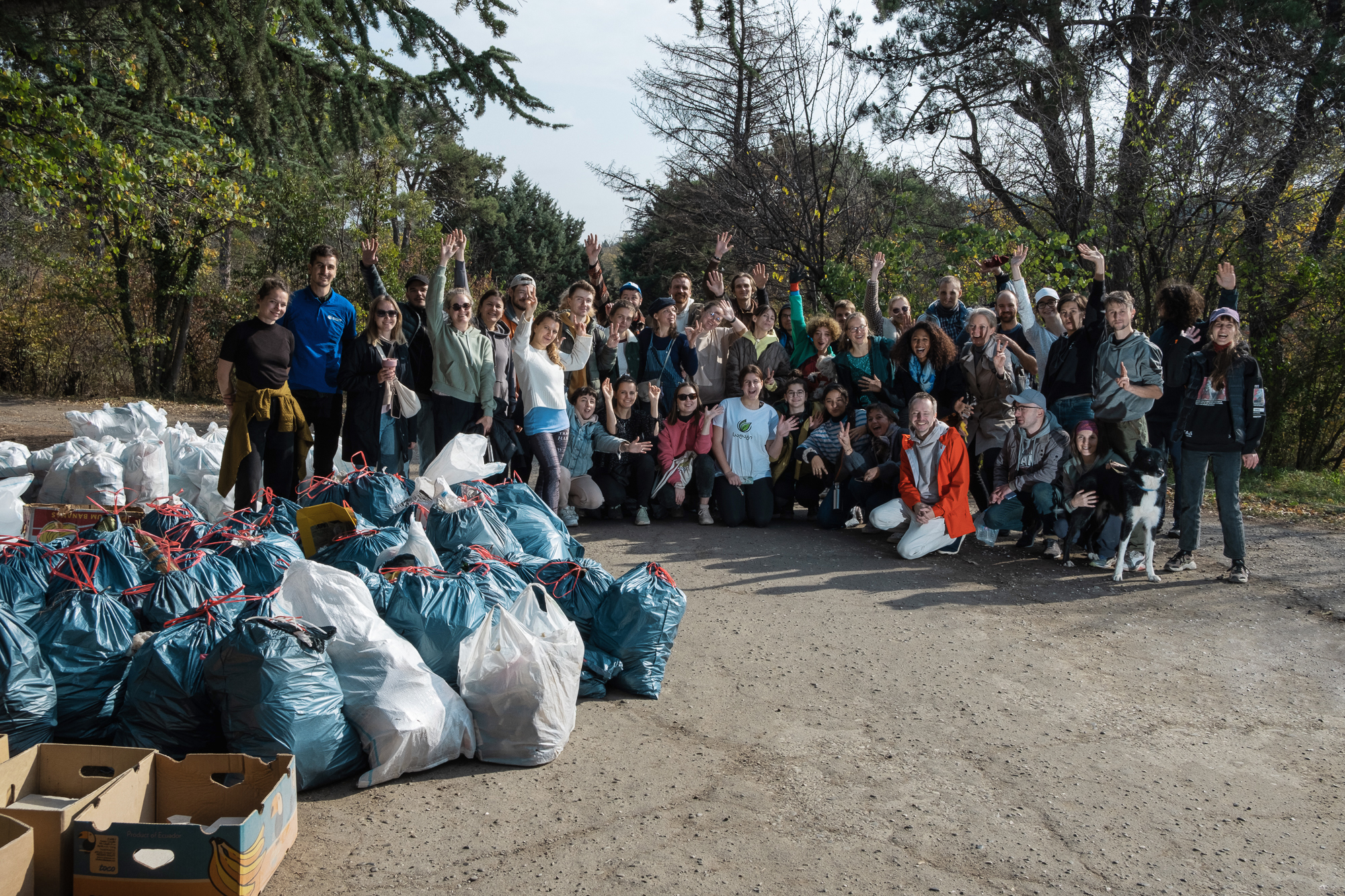 Как Parki ar minda формирует зеленую культуру Грузии 4 pam 1 4 SOVA PRO business featured, экология