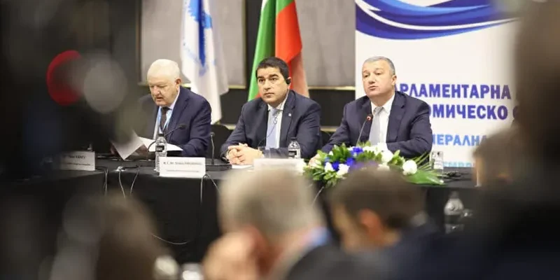 papuashvili2 новости BSEC, PABSEC, безопасность, война в Украине, Грузия-Украина, мирный план по Украине, Спикер парламента, Шалва Папуашвили