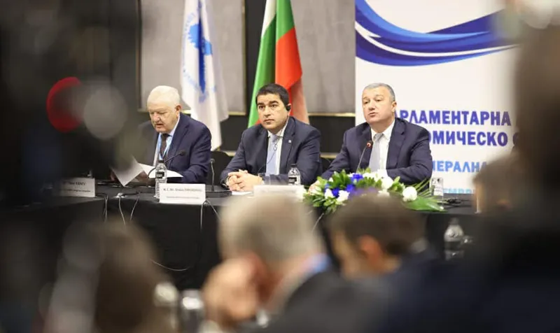 papuashvili2 новости BSEC, PABSEC, безопасность, война в Украине, Грузия-Украина, мирный план по Украине, Спикер парламента, Шалва Папуашвили