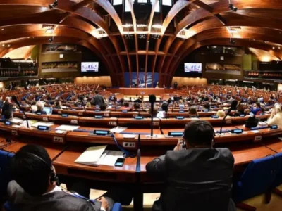 pase новости Григол Гегелия, Грузинская мечта, Лело - Сильная Грузия, миссия ПАСЕ, нацдвижение, Тина Бокучава