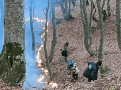 В оккупированном Джавском районе потушили два крупных очага пожара 2 screenshot 2025 11 24 213616 новости джавский район, лесные пожары, оккупированные регионы Грузии, Южная Осетия. Цхинвальский регион