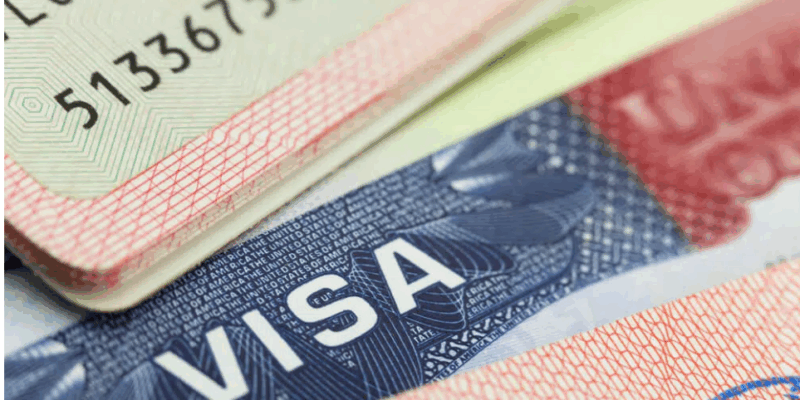 Рабочие визы в Польшу гражданам Грузии больше не будут выдавать по упрощенной схеме 1 screenshot 2025 11 30 133829 новости Варшава, визы в Польшу, Грузия-ЕС, рабочие визы