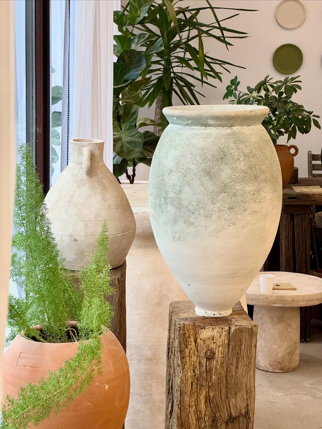 •terracotta•🪴•born from soil made for stillness… SOVA PRO business featured, Terracotta