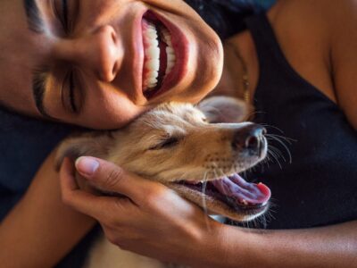 Почему мы так любим собак? Вот что говорит наука 7 3463e1c0 d044 11f0 9fb5 5f3a3703a365.jpg Новости BBC собаки