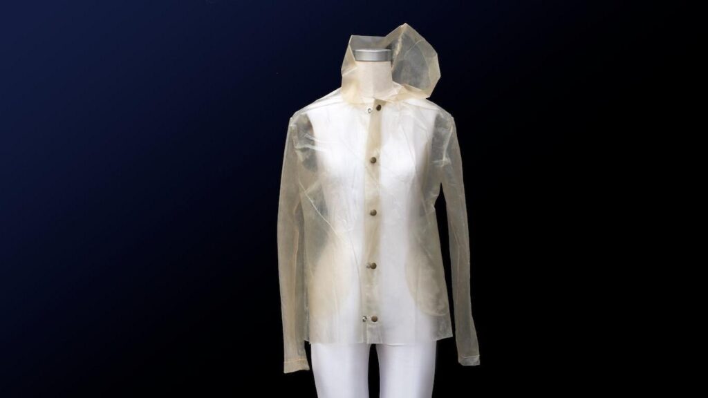 Платье из водорослей, плащ из комбучи. Как биоматериалы могут изменить моду 1 5a4ffd70 e588 11f0 99b0 ada9be4ed6d1.jpg Новости BBC Платье