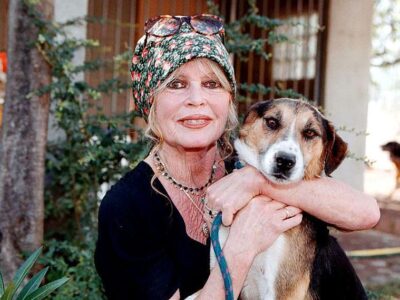 62c21d50 e56d 11f0 978a 3510e7b058d9.jpg Новости BBC Брижит Бардо