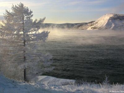 Путин разрешил "санитарную" сплошную вырубку леса на Байкале 2 67745779 403.jpg Deutsche Welle вырубка леса, озеро Байкал, пу, путин