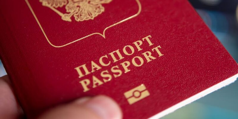 Двойное гражданство как вопрос лояльности: о чем спорят в Германии 1 69822000 403 1.jpg 1 Deutsche Welle двойное гражданство