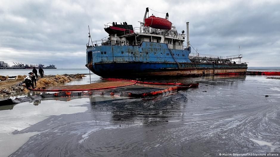 Почти 700 дельфинов погибли за год после разлива мазута в Керченском проливе 1 71408460 403.jpg Deutsche Welle дельфины