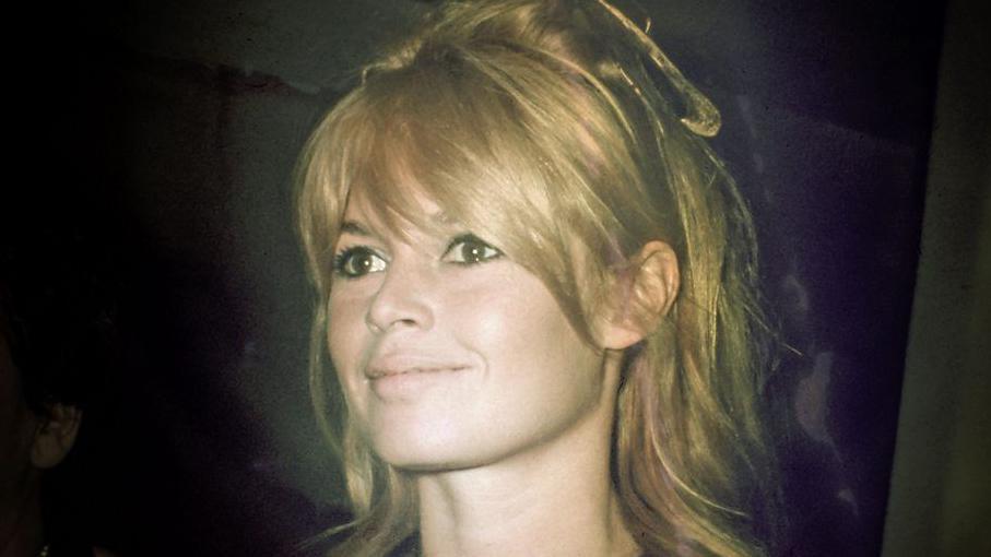 91339700 e3d2 11f0 9861 697d47b9eb91.jpg Новости BBC Брижит Бардо