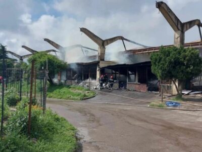 На месте сгоревшего "Боржомского рынка" в Тбилиси построят торговый центр 2 borjomis bazroba w h новости GRDC Holding, боржомский рынок, Леван Каралашвили