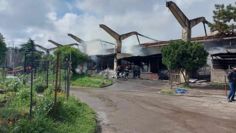 borjomis bazroba w h новости GRDC Holding, боржомский рынок, Леван Каралашвили