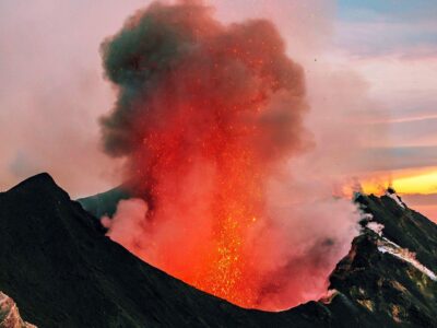 fe2739d0 d139 11f0 a892 01d657345866.jpg Новости BBC чума