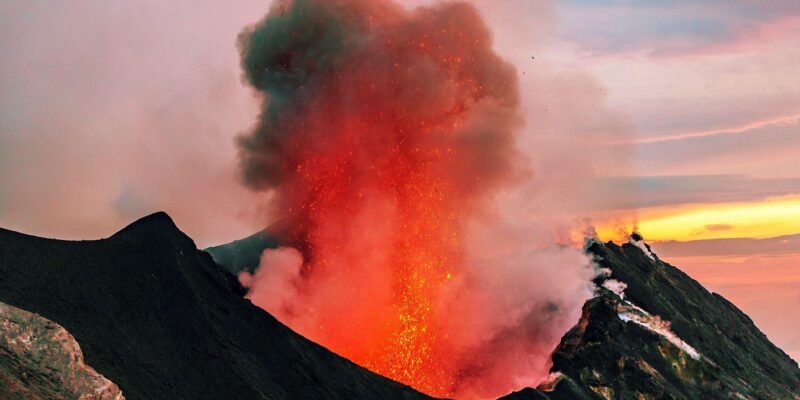 fe2739d0 d139 11f0 a892 01d657345866.jpg Новости BBC чума