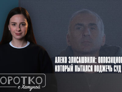 konji shorts thumbnale youtube SOVA-блог featured, Алеко Элисашвили, Грузинская мечта, протесты в Грузии, тбилисский городской суд