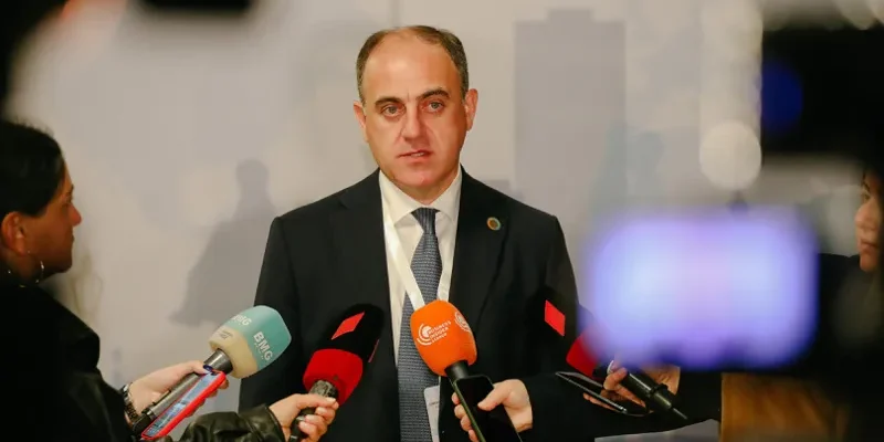 narmania новости Давид Нармания, тарифы, электроэнергия