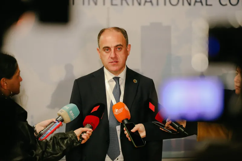 narmania новости Давид Нармания, тарифы, электроэнергия