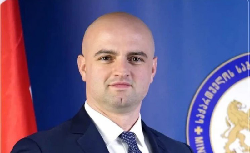 papaskua новости Грузия-Корея, посол, Тараш Папаскуа